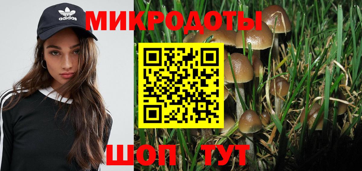 Псилоцибиновые грибы GOLDEN TEACHER Тайшет