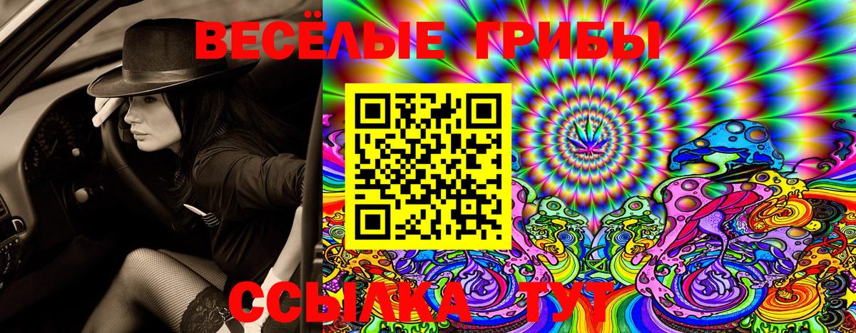 Псилоцибиновые грибы Cubensis  Вход с VPN  Тайшет 